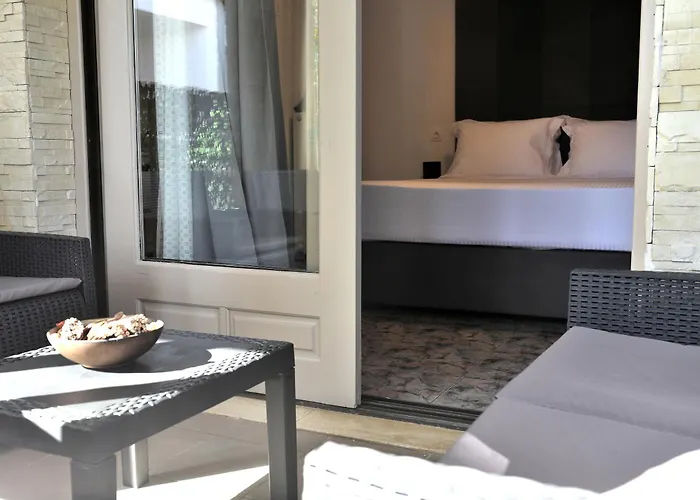 X N * 斯基亚索斯镇